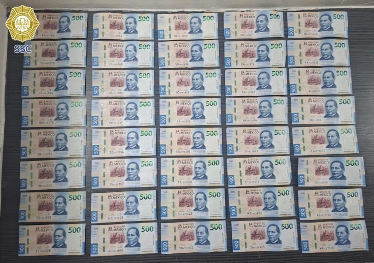 ssc detiene a hombre en la ceda por robo de dinero en bodega