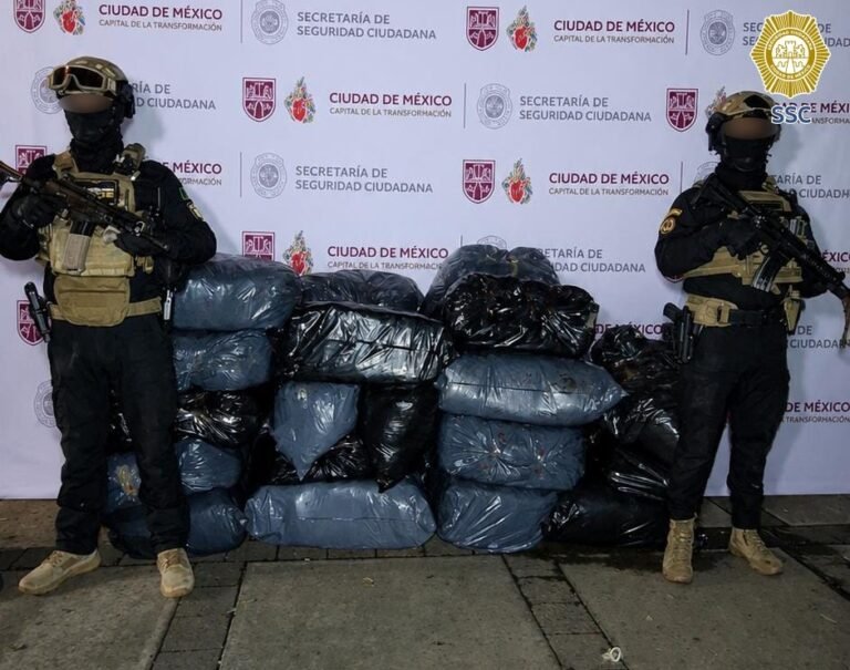 Aseguramiento de media tonelada de droga durante cateo realizado por autoridades en Gustavo A. Madero