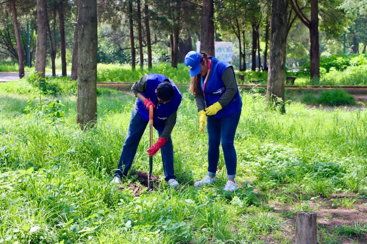 Siembra de árboles en Cuautitlán Izcalli con 7,866 ejemplares para honrar a niñas y niños nacidos en el municipio