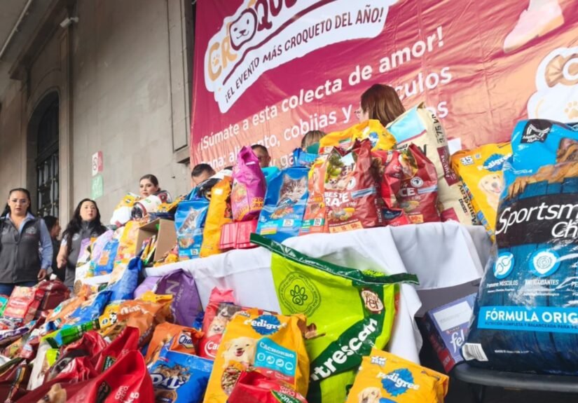Campaña Croquetmanía recibe donaciones de alimento para lomitos y michis rescatados en el Estado de México