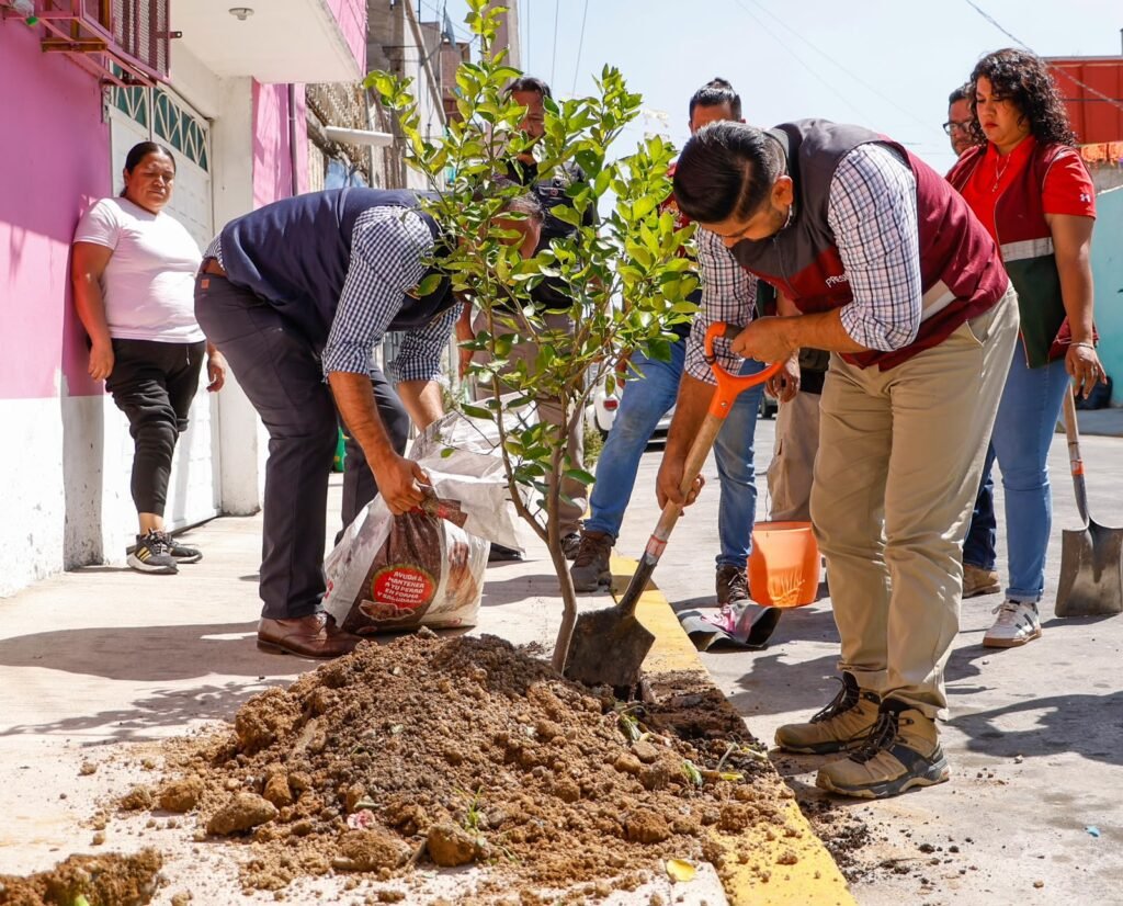 gobierno de adolfo cerqueda impulsa iniciativa para plantar mas de 8 mil arboles en neza