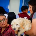 fortalece iztapalapa su politica de bienestar animal con nuevas acciones