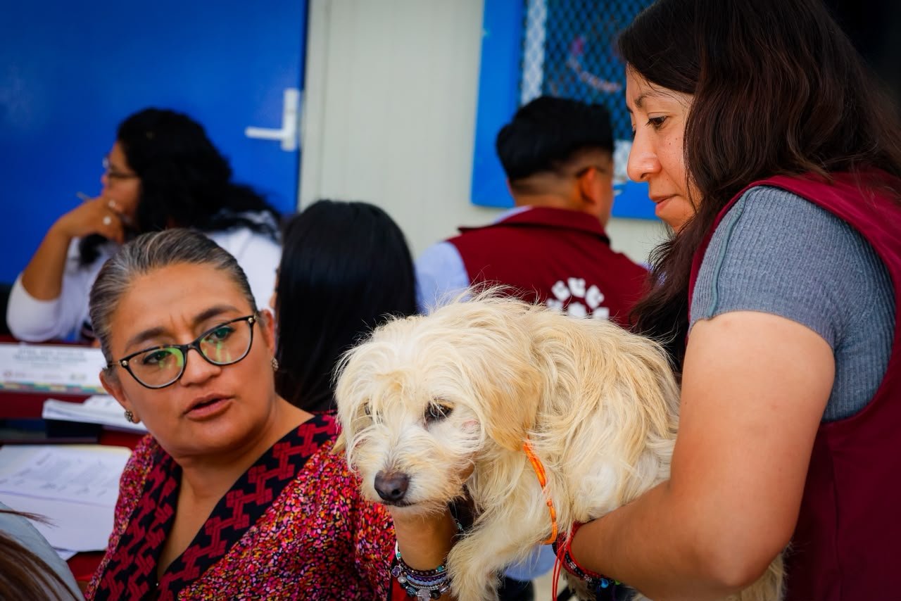 fortalece iztapalapa su politica de bienestar animal con nuevas acciones