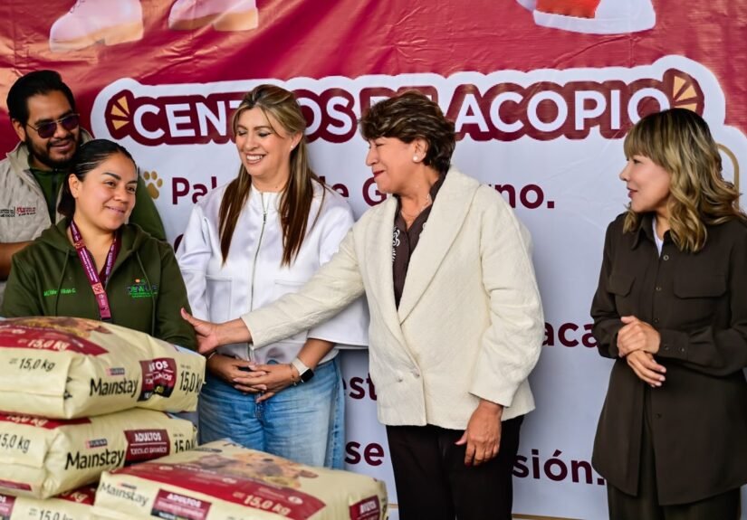 Croquetmanía Estado de México recibe donaciones para perros y gatos en espera de adopción
