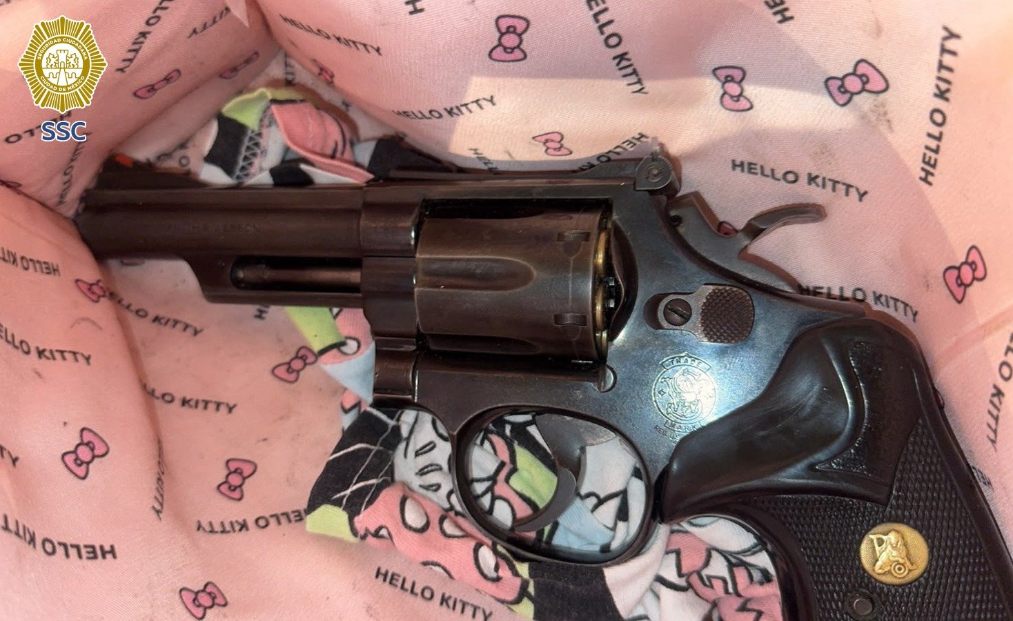 Cateo en Miguel Hidalgo por narcóticos y armas largas ejecutado por la SSC