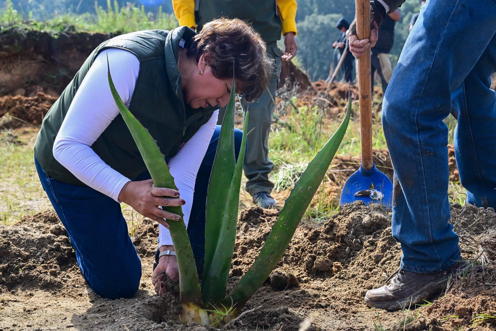 Jornada Nacional de Reforestación en Temoaya con la plantación de más de 4 mil árboles encabezada por Delfina Gómez