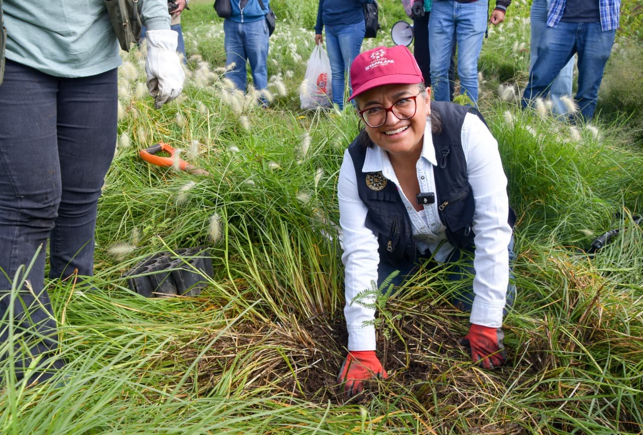 Jornada Nacional de Reforestación en Iztapalapa con plantación de árboles nativos en el Cerro de la Estrella