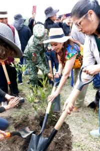 Jornada Nacional de Reforestación en Ciudad de México con la plantación de árboles en la Sierra de Santa Catarina encabezada por Clara Brugada