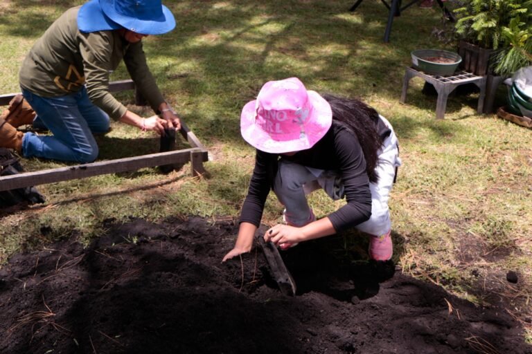 Educación forestal en el Estado de México durante el Curso de Verano Probosque