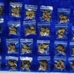 Detenido con marihuana en Iztapalapa