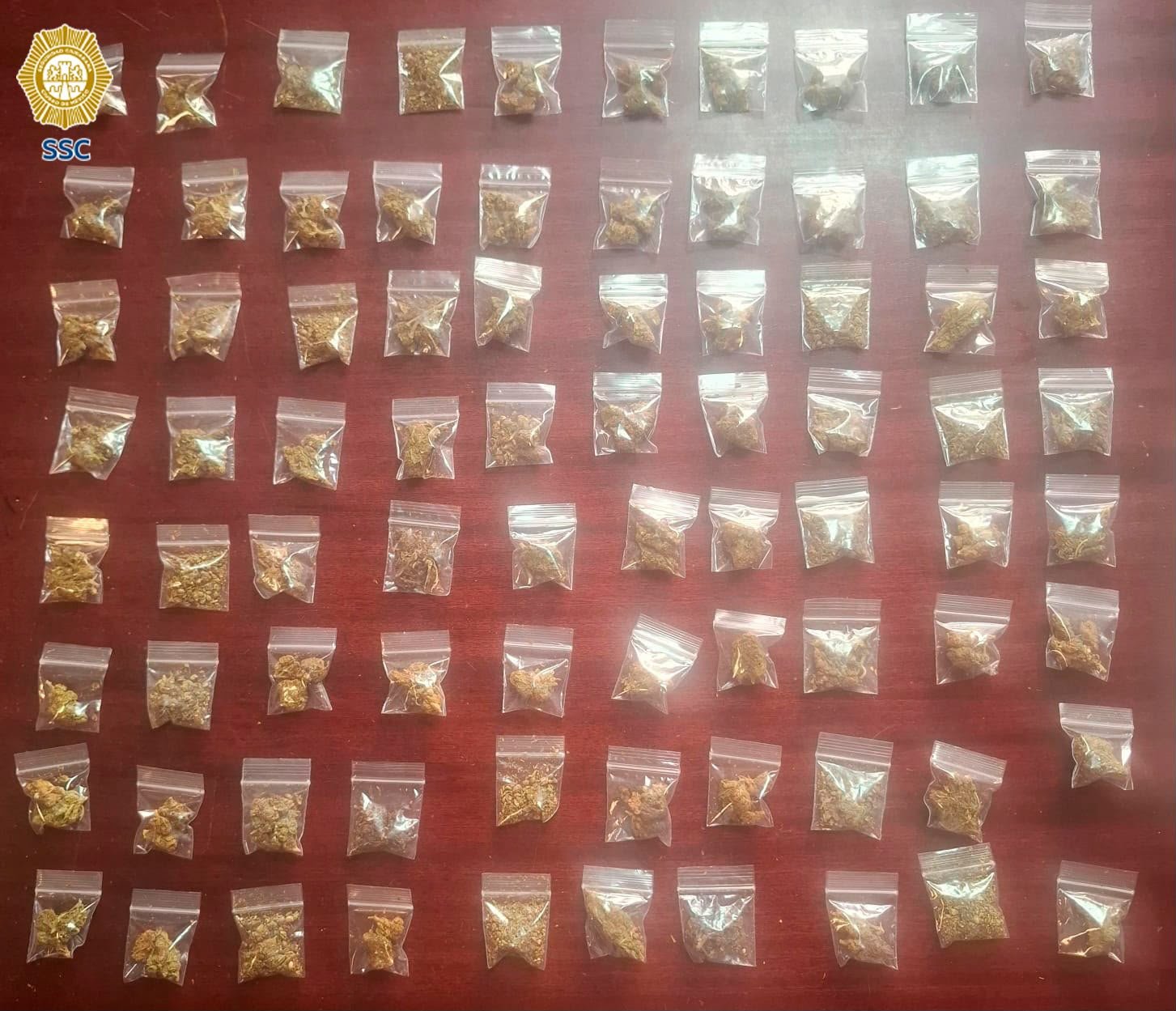 Detenidos con droga en Gustavo A. Madero durante operativo de la SSC en Cuautepec Barrio Alto