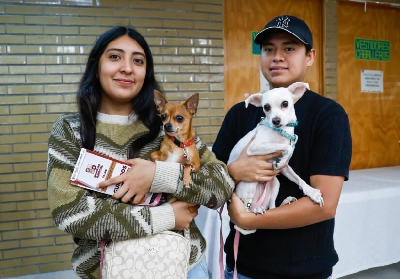 Mega Jornada de Esterilización Canina y Felina 2026 en Nezahualcóyotl