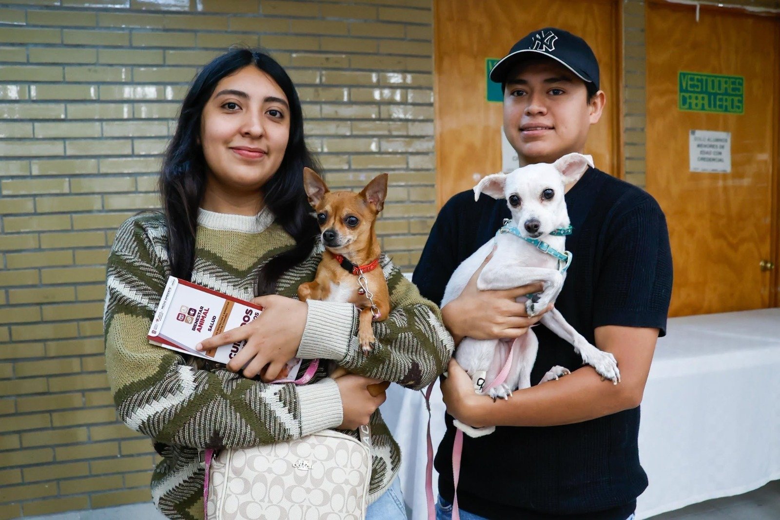 Mega Jornada de Esterilización Canina y Felina 2026 en Nezahualcóyotl
