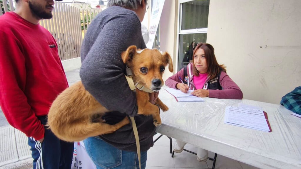 Feria de los Seres Sintientes Neza 2026 bienestar animal