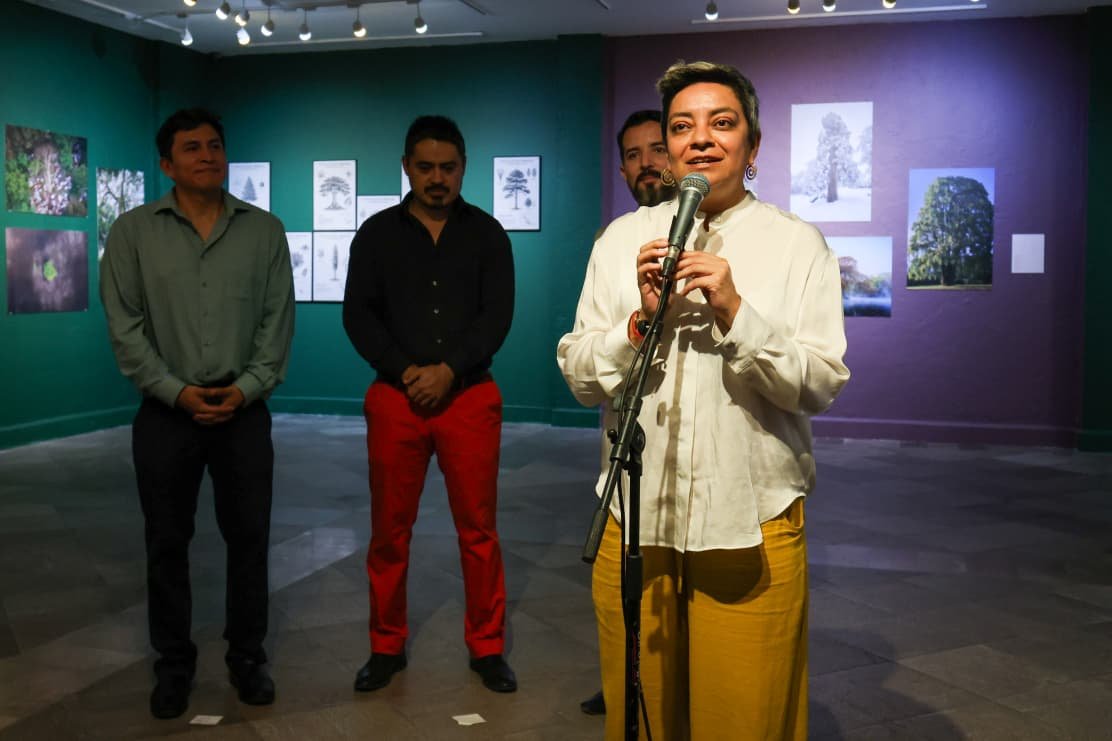 Centinelas del Tiempo exhibición fotográfica sobre árboles majestuosos de México en el Museo Archivo de la Fotografía