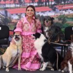 Centro Integral Xolotl en Ciudad de México para rescate y adopción de perros y gatos