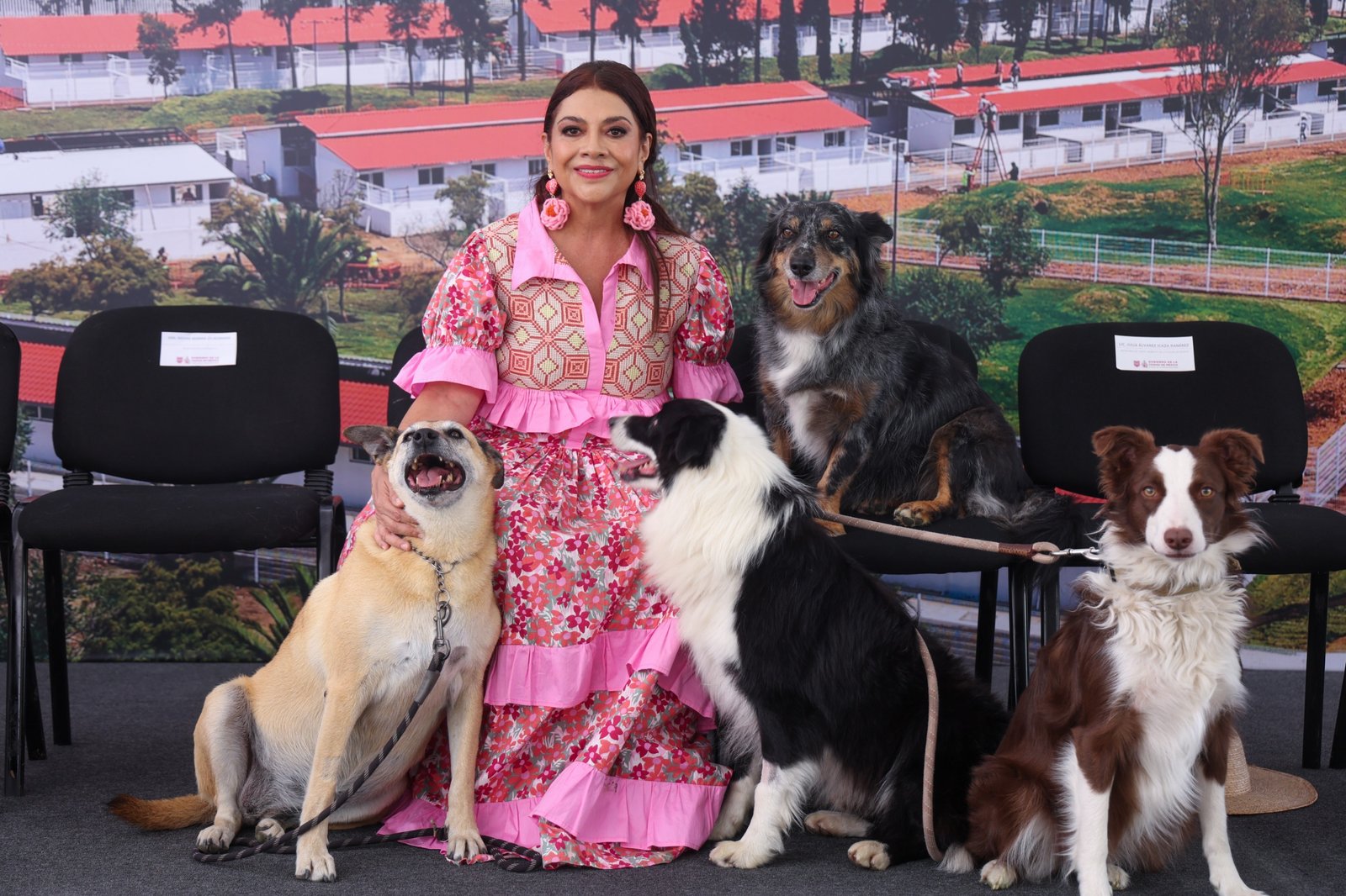 Centro Integral Xolotl en Ciudad de México para rescate y adopción de perros y gatos