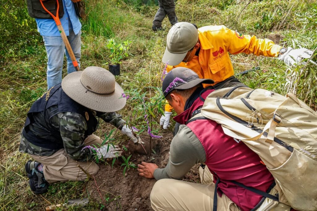 Reforestación urbana en Iztapalapa reconocida por autoridades ambientales de la Ciudad de México