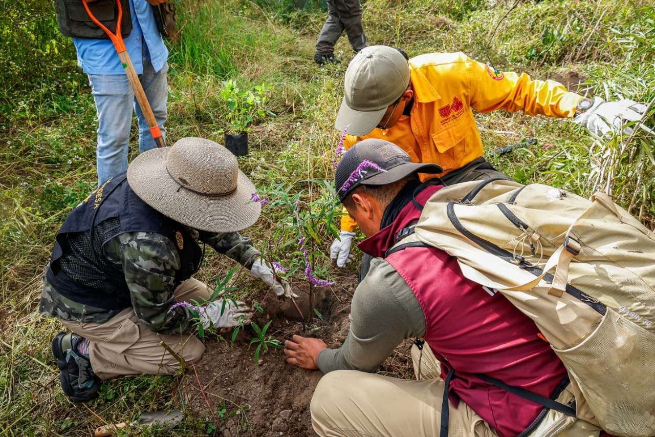 Reforestación urbana en Iztapalapa reconocida por autoridades ambientales de la Ciudad de México