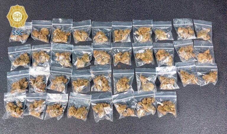 Detenido con marihuana en Venustiano Carranza durante operativo de vigilancia de la SSC