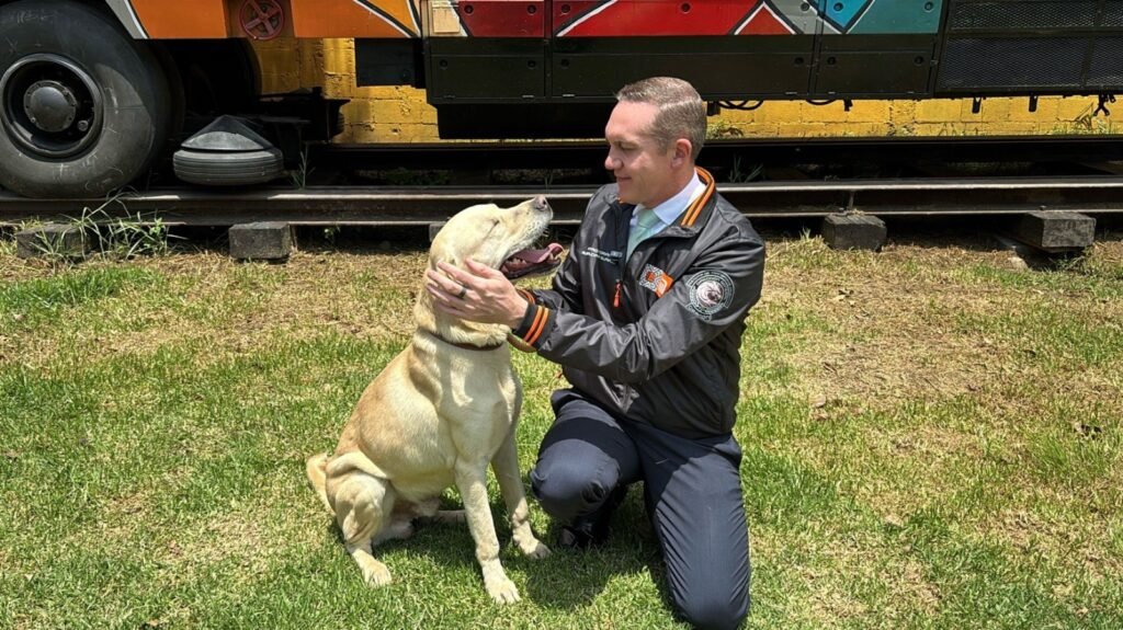 Centro de Transferencia Canina del Metro con perros rescatados en espera de adopción