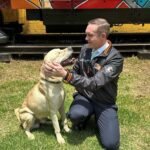 Centro de Transferencia Canina del Metro con perros rescatados en espera de adopción