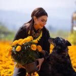 Día de Muertos 2026 en CDMX con productores de cempasúchil de Xochimilco y presentación de actividades culturales
