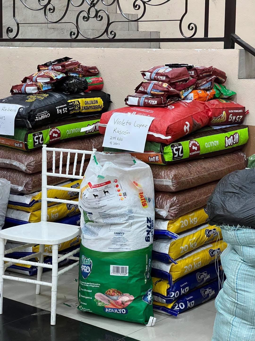 CroqueRock 2026 en Amecameca recauda más de dos toneladas de alimento para perros rescatados